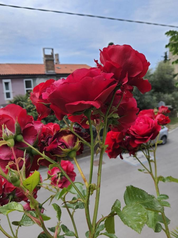 Apartmaji, Sobe - Obzidje Hotel Pirano Esterno foto