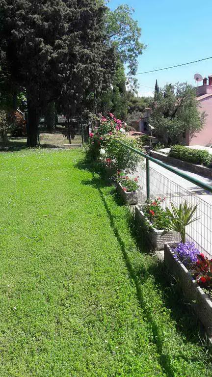 Apartmaji, Sobe - Obzidje Hotel Pirano Esterno foto