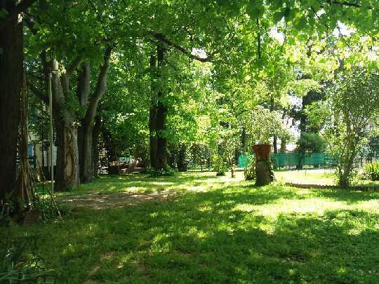 Apartmaji, Sobe - Obzidje Hotel Pirano Esterno foto