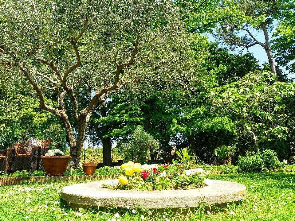 Apartmaji, Sobe - Obzidje Hotel Pirano Esterno foto